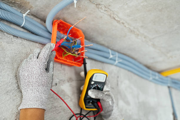 Best Industrial Electrical Services  in Seminole Manor, FL