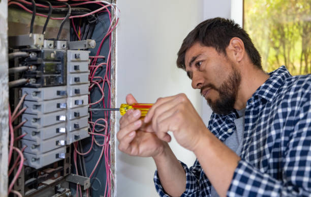 Best Home Electrical Repair  in Seminole Manor, FL
